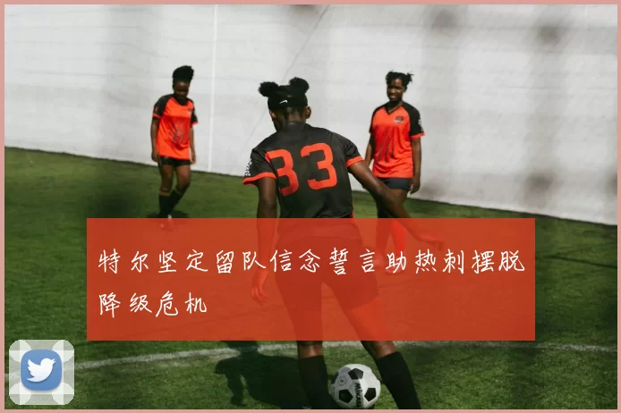特尔坚定留队信念誓言助热刺摆脱降级危机